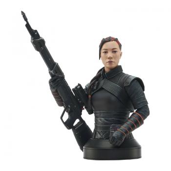 Collection Mania - Star Wars: Le Mandalorien Fennic Shand